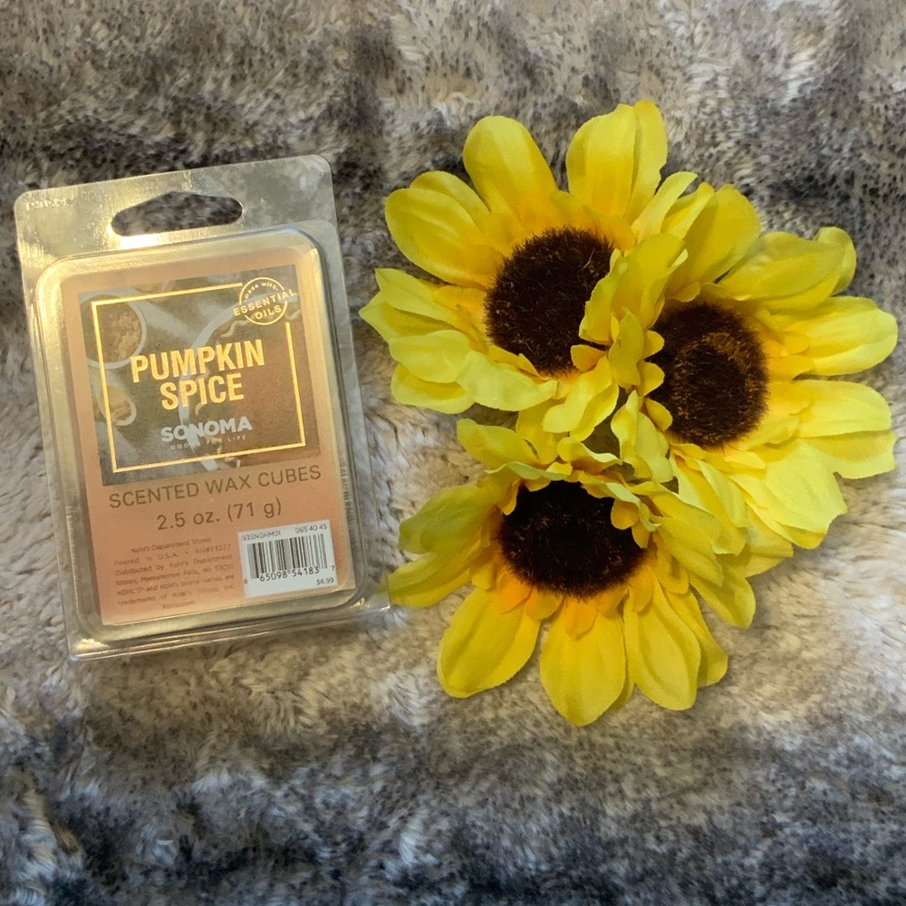 Pumpkin Spice Sonoma Scented Wax Cubes